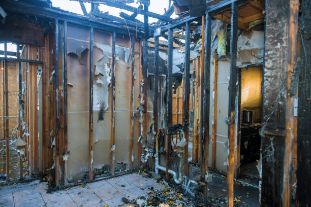 Professional Soot Cleanup technician working in Curtice, OH
